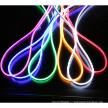 Bande flexible d&#39;éclairage de corde de néon de 110V 330FT (100m) LED pour la décoration extérieure